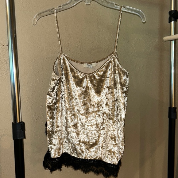 Gold Velvet Tank with Black Lace - Picture 1 of 6